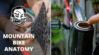 Mountain Bike Anatomy - 50 parts in 5 minutes