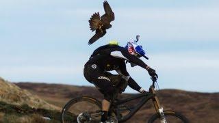 Gee Atherton gets hunted by a Peregrine Falcon